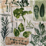 SI28中　　F 57      13319635　Herb Prints