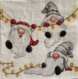 SPX小3　X16　　32520185　　Gnomes on the light chain white