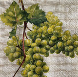 SP小8　F10　C1027360  WHITE GRAPES