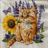 SI27中　　F107    DL-OG060201   Watercolour Ginger　Kitten ＆ Dog