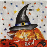 ﾊﾛｳｨﾝ小　F94　C1089900  WITCH'S LITTLE HELPER