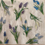 SI27中　F50    L1069860  SPRING MUSCARI
