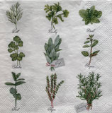 SP小8　F57-1　12518560　Herb selectlon
