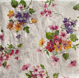 SI27中　F21　212521　The Blooming
