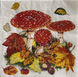SI27中　F76　　13311025　Fly agaric