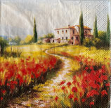 SP小8　F81　12520635　　Tuscan house