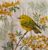 SI27中　F24　　L1065829  JOY OF SPRING