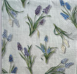 SI28中　　F40　Ｌ1069829　SPRING MUSCARI light green