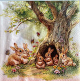 ｲｰｽﾀD・中　F104　208248　　Rabbits Family Tree
