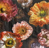 SI28中　　F18   　　 212113   Papaver