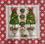 RBI小　Ｆ107-1　C1090510    HOLLY TOPIARY