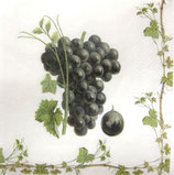 SP小1　F10　C608000 Grape Harvest White