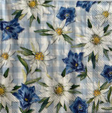 SI28中　　F27-1　L1046949　EDELWEISS AMD GENTIAN