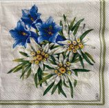 SP小8　F50　C1064729  Gentian and Edelweiss