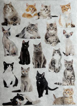 ライスペーパー  R2146　Cats　itd COLLECTUON NO.2