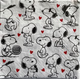 SP中1　　F17-2　1213-26112　Snoopy everywhere