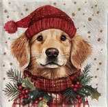 X'mas9中  　X41-1　　310748　Simon