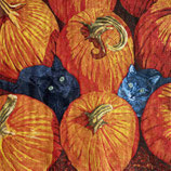 ﾊﾛｳｲﾝ中　F92　133002451 Pumpkin Patch Cats