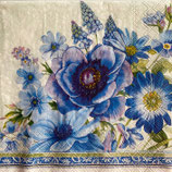 SI27中　F53-1　 L1066049   SPRINGTIME BLUES  light blue