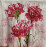 SI29中　　F56-1　Ｌ1102160　　TIMELESS RED cream