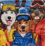 SP小8　F108-2　　325003222　　Ski　Dogs