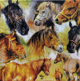 SI29中　　F65　13317780　Collage of horses