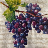 SP小8　F10　C1027560  RED GRAPES