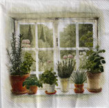 SI29中　　F57-1　　L1107700　HOMEGLOWN HERBS