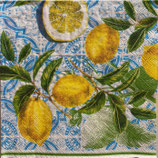 SI27中　　F14　 L868500  CITRUS LIMON