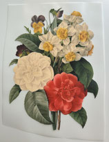 アイロン転写シート　HL-26　17.5ｘ23.5ｃｍ　再入荷