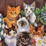 SI27中　F107-1     35727   Cats Friends