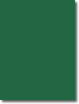 Tischset dunkelgrün, 55295
