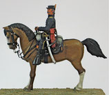 ACW Cavalry on Standing Horse