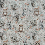 Eule, Koala & Hase