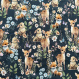 Hase & Reh