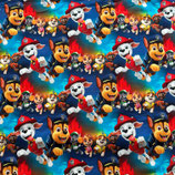Hund multicolor