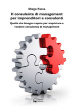 Il consulente di management per imprenditori e consulenti