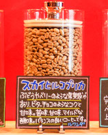 スカイヒルコプリカ