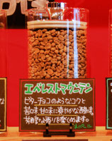 エベレストマウンテン