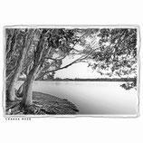 LAKE TEE - Steel