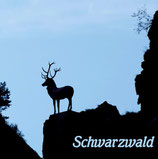 Magnet Schwarzwald Hirsch