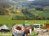 Postkarte Black Forest Streifen grün