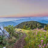 Fotoklotz Panorama Blauen