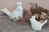 Vogel Rosi & Lulu mit Krönchen