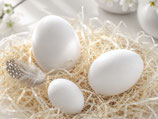 Eier