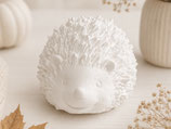 Igel Lenny