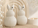Hase Pippa