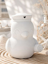 Möwe Kaja