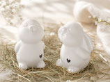 Hase Chico