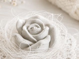 Beton Rose